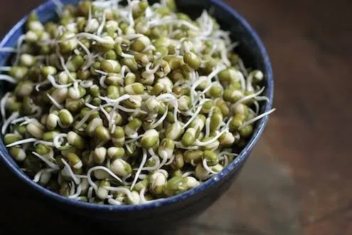 Image result for sprouted-moong