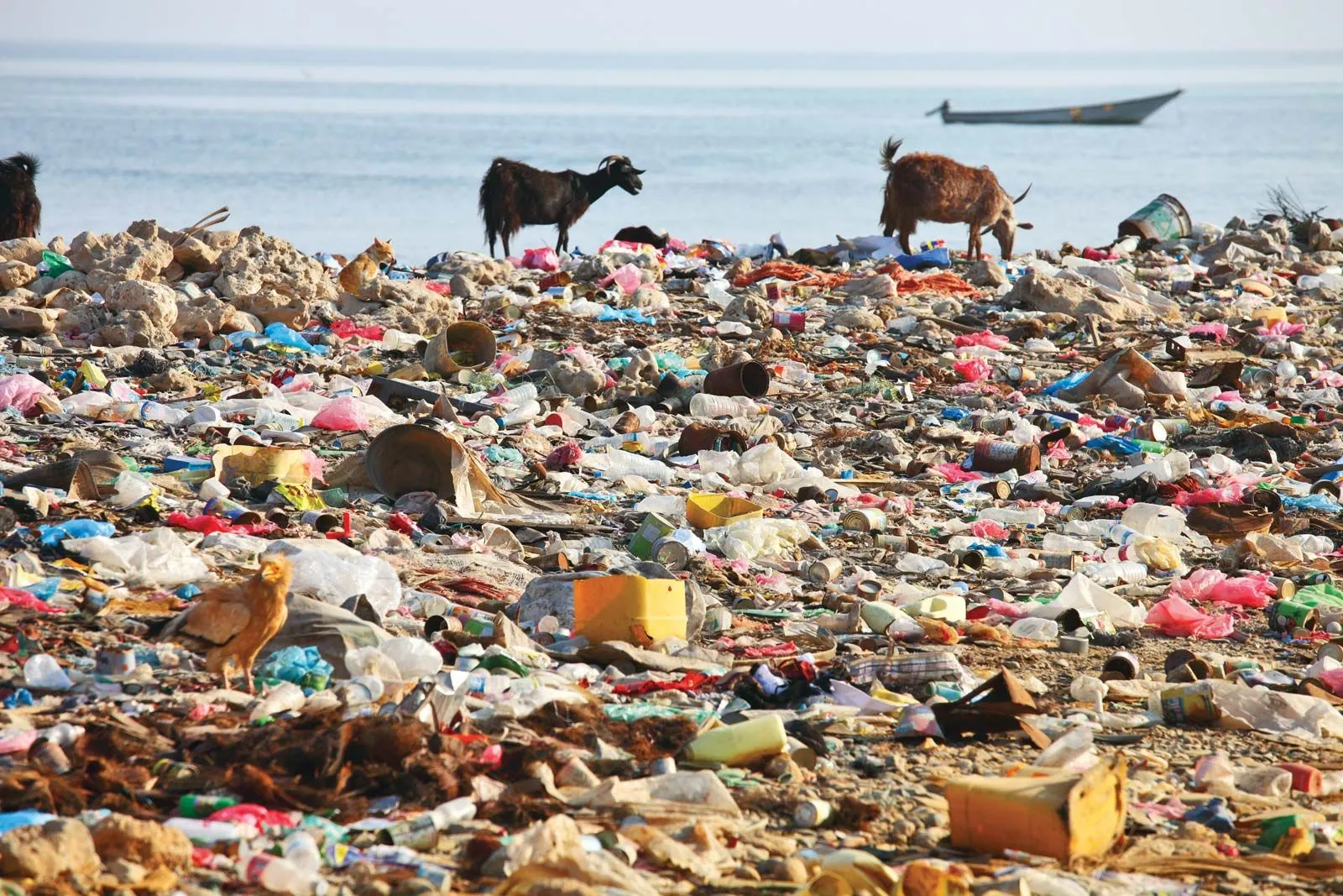 Land pollution | Britannica