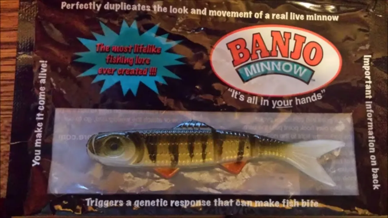 Banjo Minnow Pond Fishing - YouTube