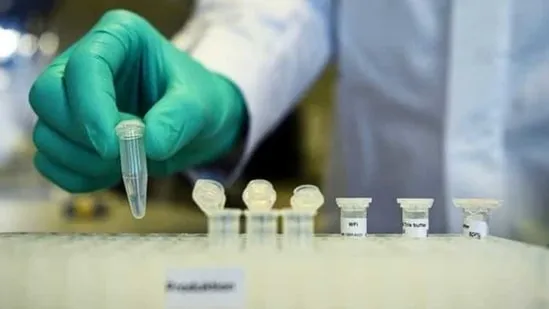 India’s Zydus Cadila is currently conducting mid-stage trials of its own vaccine hopeful, while Serum Institute is making potential vaccines from AstraZeneca, Novavax and Codagenix Inc, as well as developing its own.(Reuters file photo. Representative image)