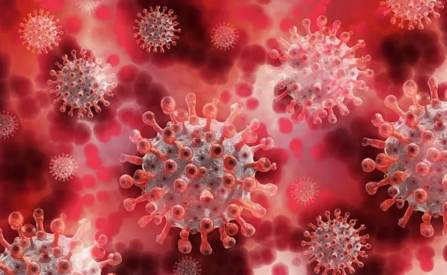 South Africa Detects New COVID-19 Variant With Multiple Mutations