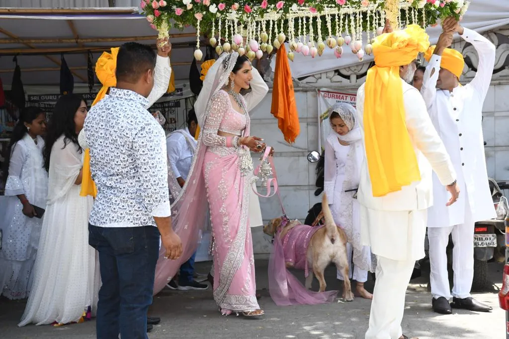Sonnalli Seygall-Ashesh Sajnani Wedding: Actress Walks Down Aisle With Pet Dog