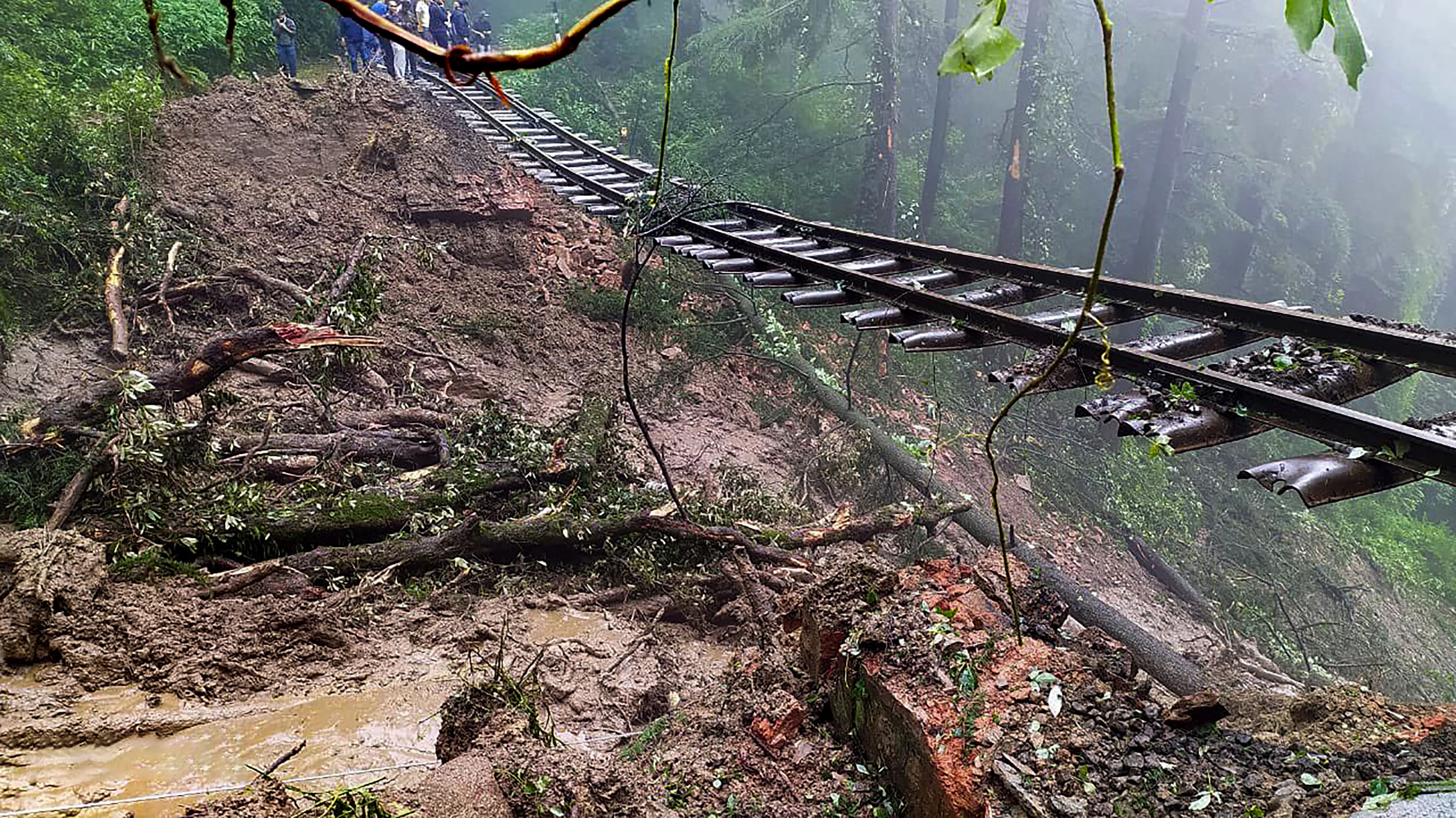 66 dead in rain fury in Himachal, Uttarakhand; houses collapse in Shimla, Joshimath - India Today