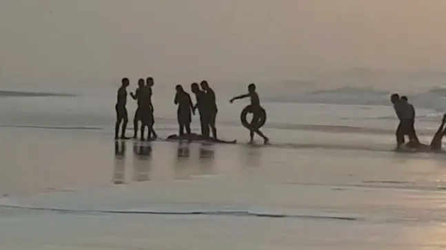 Image result for 4 tourist rescued--drowning-in-puri-