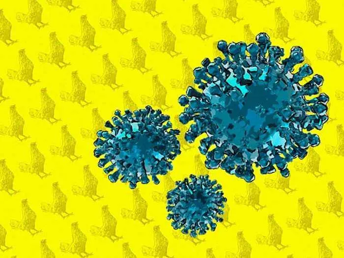 china bird flu outbreak: कोरोना महामारी के बीच इंसान के अंदर बर्डफ्लू H10N3  का संक्रमण, चीन से सामने आया पहला केस - china reports first human case of  h10n3 bird flu amid