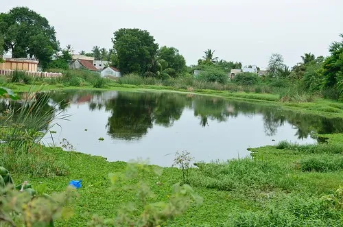 Image result for pond
