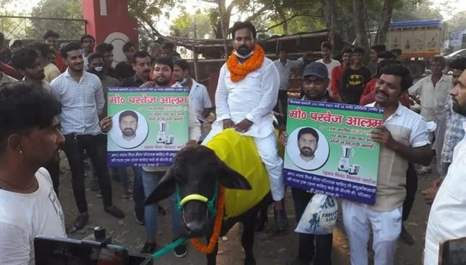 Candidate in Gaya booked for riding a buffalo for election campaign - bihar  election - Hindustan Times