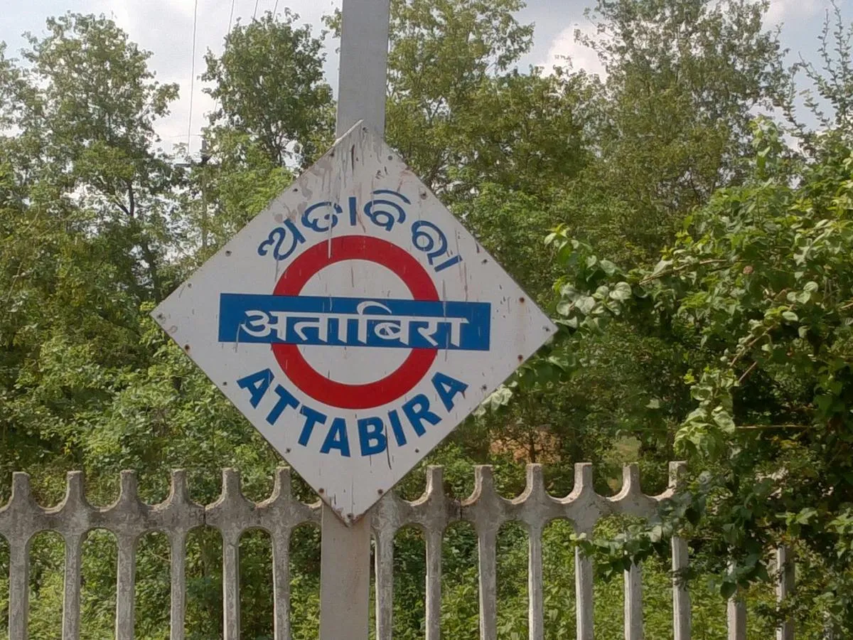 Image result for attabira