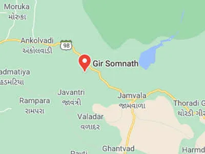 Earthquake in Gir Somnath: 19 mild earthquakes felt in Gir Somnath; no casualties | Ahmedabad News - Times of India