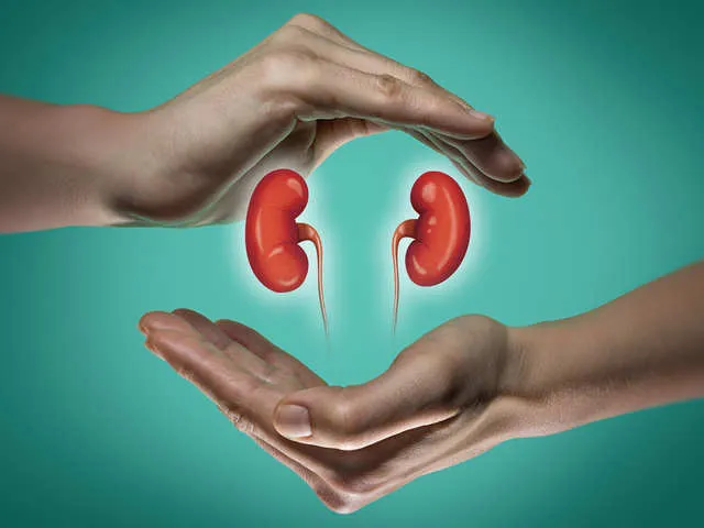 World Kidney Day: Drinking 8 Glasses Of Water Flushes Toxins And Other  Myths About Renal Health - Facts About Kidney Health | The Economic Times