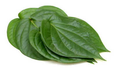 Image result for paan leaf