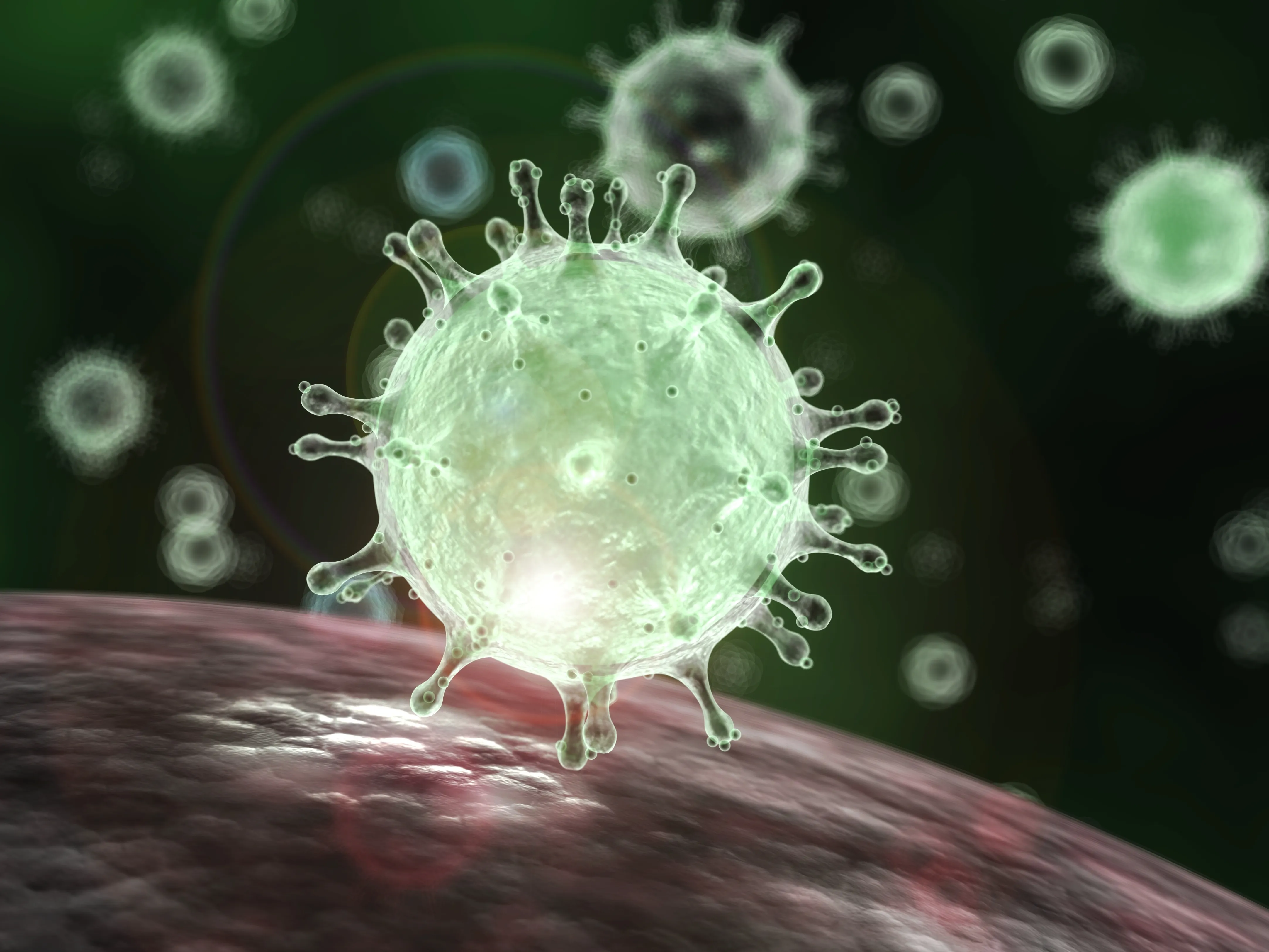 Chart: Comparing The Novel Coronavirus With MERS, SARS And The Common Cold : Goats and Soda : NPR