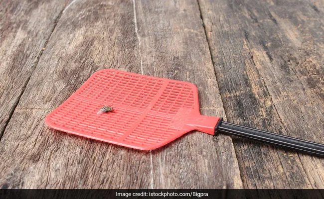 मक्खी को मारने के चक्कर में शख्स ने घर में लगा दी आग, लपटें देख भागा बाहर और फिर...