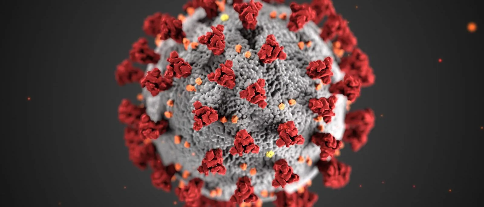 Food Safety and the Coronavirus Disease 2019 (COVID-19) | FDA