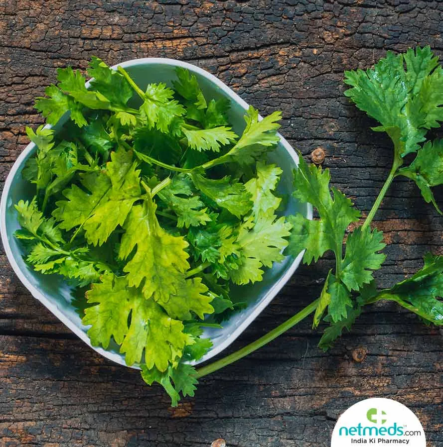 Coriander Leaves: 5 Excellent Health Benefits Of Adding These ...