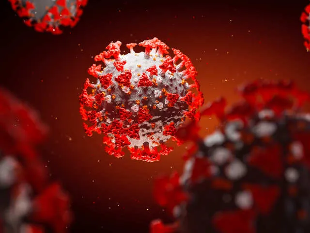 Coronavirus: Key terms explained - Coronavirus and Covid-19 | The Economic  Times