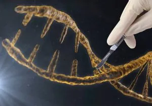 publive-image