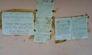 publive-image