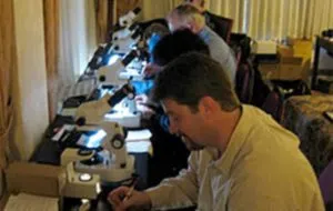 publive-image
