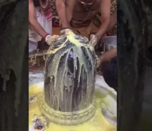 publive-image