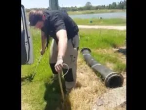 publive-image