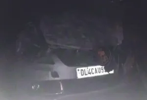 publive-image