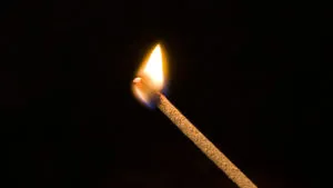 publive-image