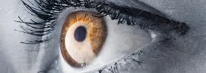 publive-image