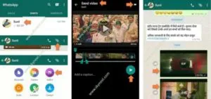 publive-image