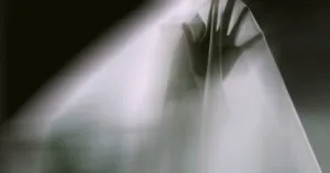 publive-image