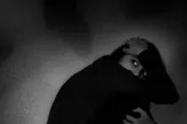 publive-image