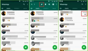 publive-image