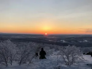 publive-image