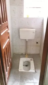 publive-image