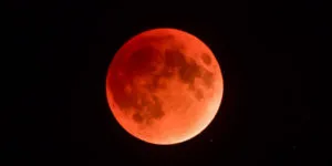 publive-image