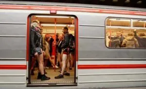 publive-image