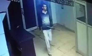 publive-image