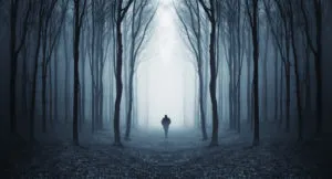 publive-image