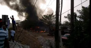 publive-image