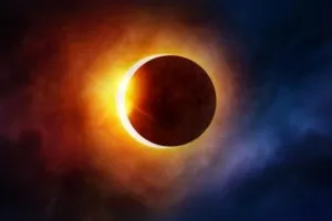 publive-image