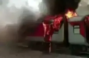 publive-image