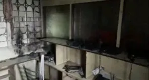 publive-image