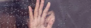 publive-image