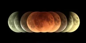 publive-image
