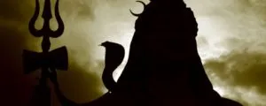 publive-image