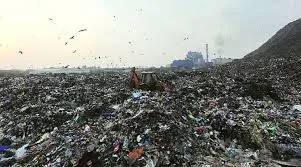 publive-image