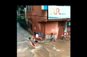 publive-image