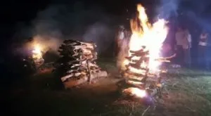publive-image