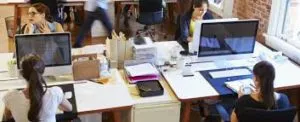 publive-image