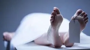 publive-image